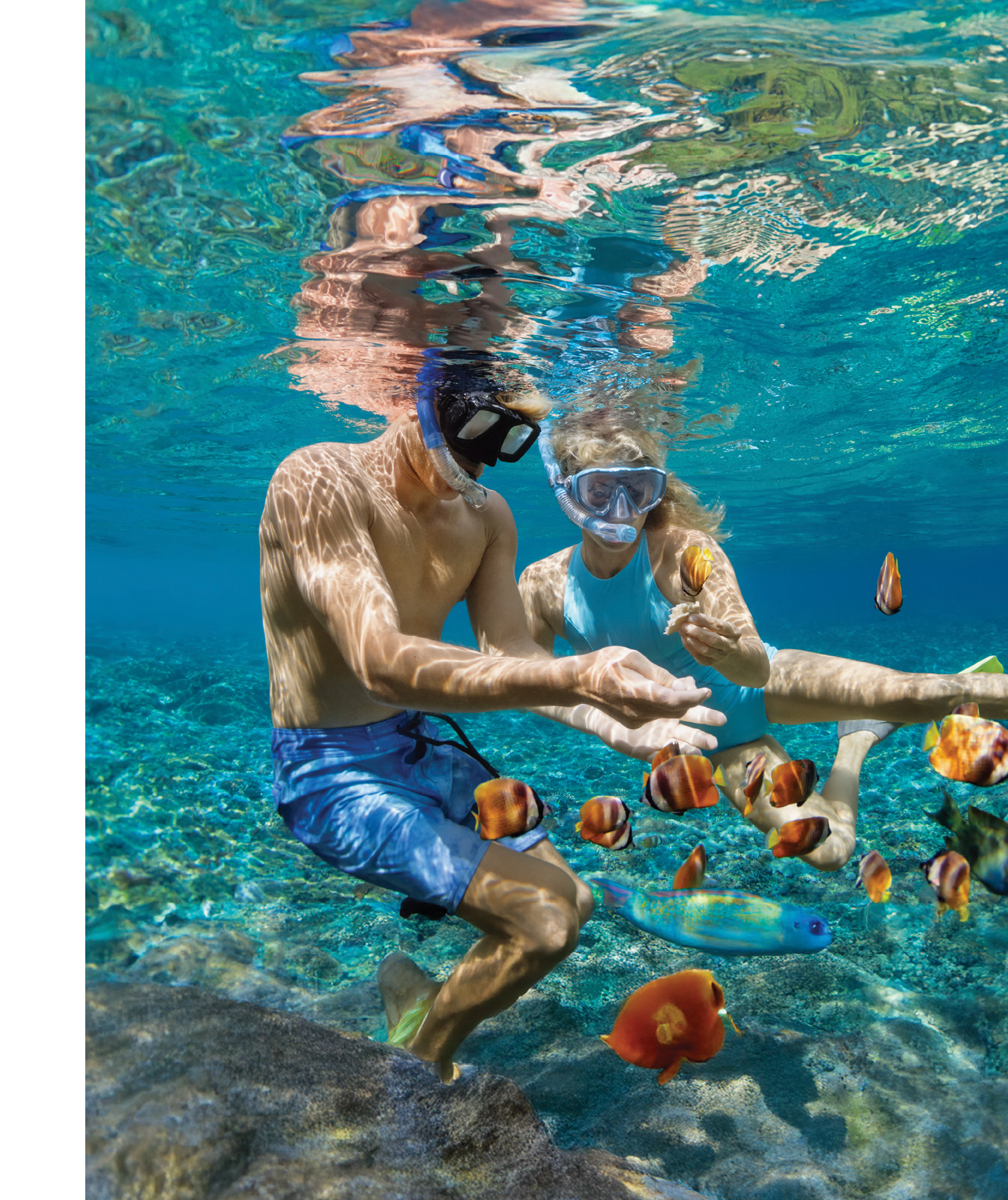 Happy family vacation. Young couple in snorkeling mask hold hand, dive underwater with fishes in coral reef sea pool. Travel lifestyle, watersport adventure, swim activity on summer beach holiday