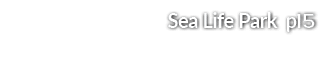 Sea Life Park p15
