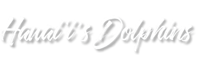 Hawai‘i’s Dolphins